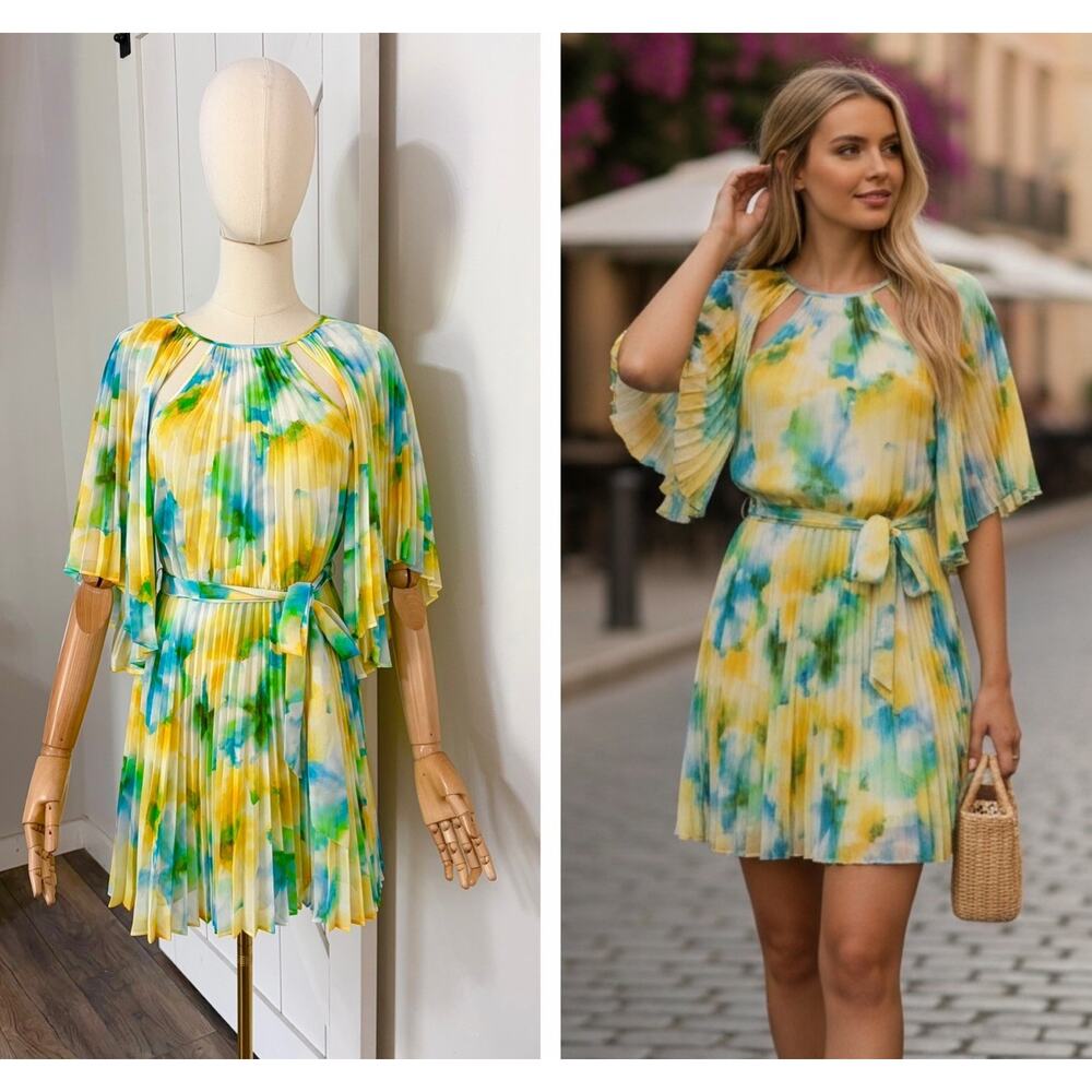 NWT Misa Los Angeles Women’s Size Xs Dress In Citron Watercolor Pleated
